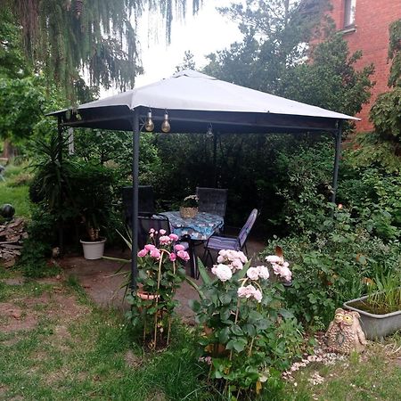 Ferienwohnung Markert بلانكنبرغ الغرفة الصورة