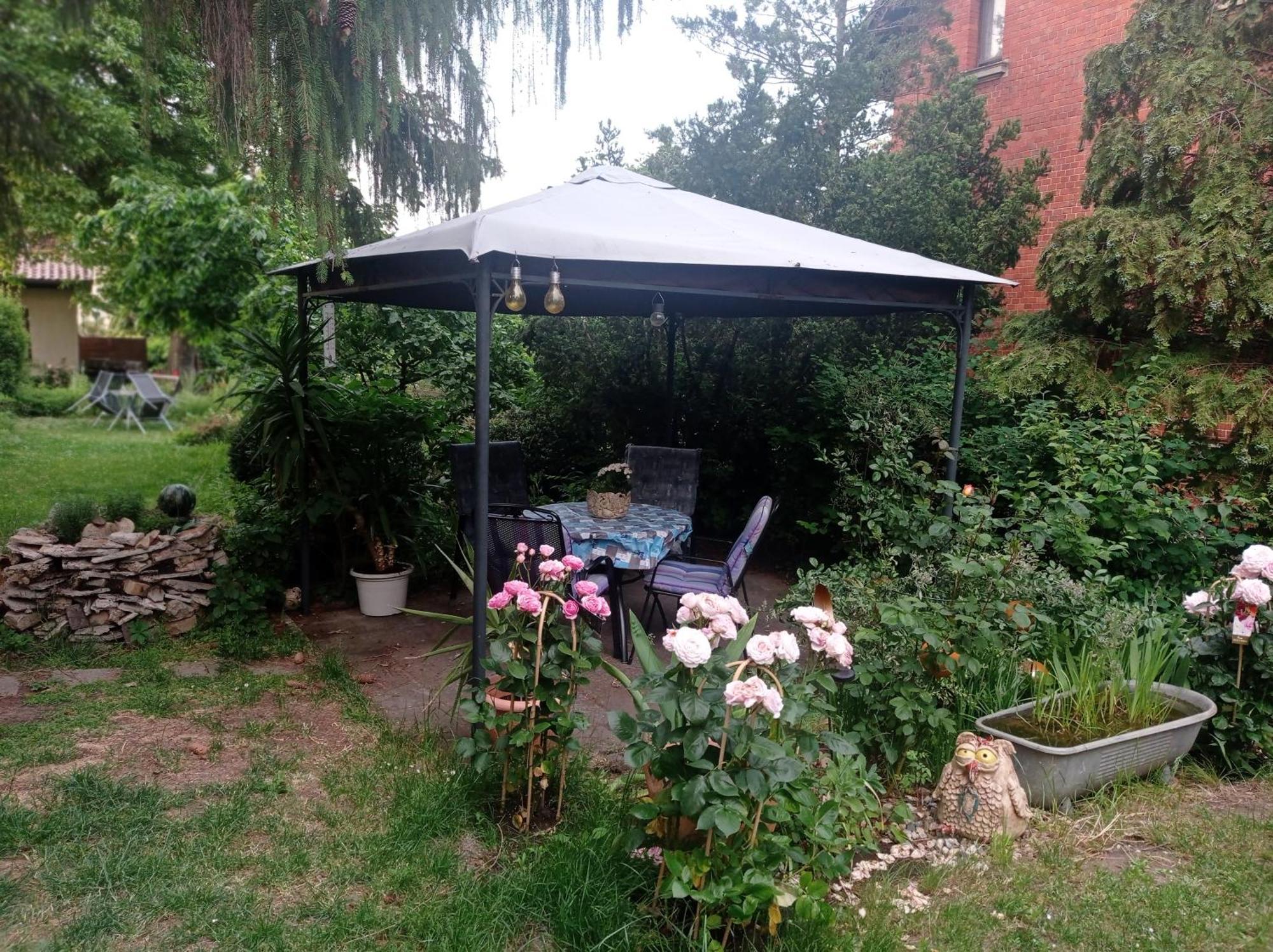 Ferienwohnung Markert بلانكنبرغ الغرفة الصورة