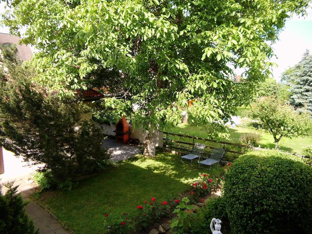 Ferienwohnung Markert بلانكنبرغ المظهر الخارجي الصورة
